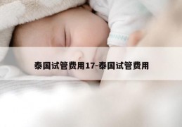 泰国试管费用17-泰国试管费用