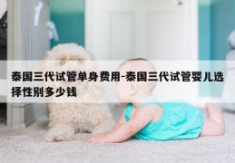 泰国三代试管单身费用-泰国三代试管婴儿选择XB多少钱