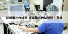 武汉第三代试管-武汉第三代试管婴儿费用