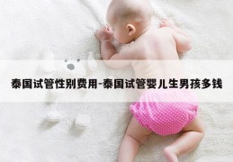 泰国试管XB费用-泰国试管婴儿生NH多钱