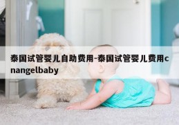 泰国试管婴儿自助费用-泰国试管婴儿费用cnangelbaby