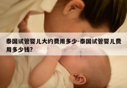 泰国试管婴儿大约费用多少-泰国试管婴儿费用多少钱?