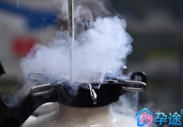 试管婴儿检查为什么要憋尿?