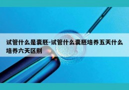 试管什么是囊胚-试管什么囊胚培养五天什么培养六天区别