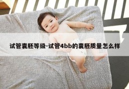 试管囊胚等级-试管4bb的囊胚质量怎么样
