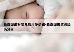 去泰国试管婴儿费用多少钱-去泰国做试管经历分享