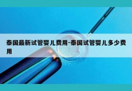 泰国最新试管婴儿费用-泰国试管婴儿多少费用