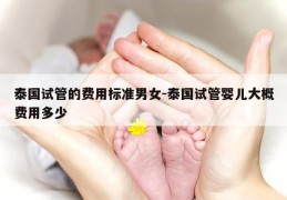 泰国试管的费用标准男女-泰国试管婴儿大概费用多少