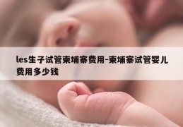les生子试管柬埔寨费用-柬埔寨试管婴儿费用多少钱