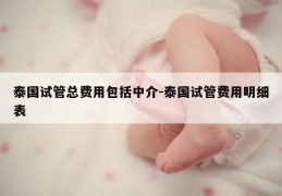 泰国试管总费用包括中介-泰国试管费用明细表