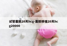 试管囊胚20天hcg-囊胚移植20天hcg20000
