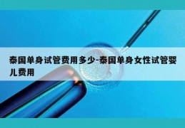 泰国单身试管费用多少-泰国单身女性试管婴儿费用