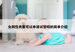 女同性夫妻可以申请试管吗的简单介绍
