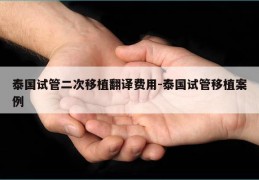 泰国试管二次移植翻译费用-泰国试管移植案例