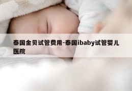泰国金贝试管费用-泰国ibaby试管婴儿医院