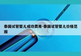 泰国试管婴儿成功费用-泰国试管婴儿价格范围