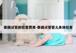 泰国试管前检查费用-泰国试管婴儿身体检查