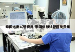 泰国送卵试管费用-泰国GL试管医院费用