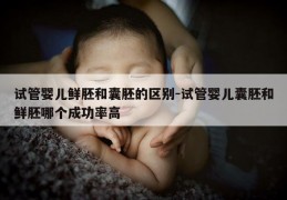 试管婴儿鲜胚和囊胚的区别-试管婴儿囊胚和鲜胚哪个成功率高