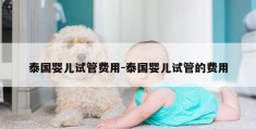 泰国婴儿试管费用-泰国婴儿试管的费用
