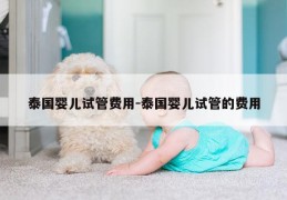泰国婴儿试管费用-泰国婴儿试管的费用