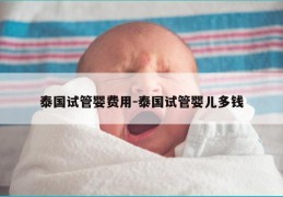 泰国试管婴费用-泰国试管婴儿多钱