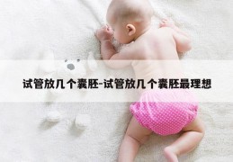 试管放几个囊胚-试管放几个囊胚最理想
