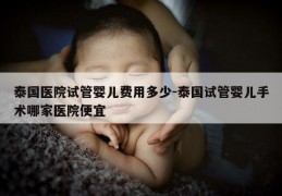 泰国医院试管婴儿费用多少-泰国试管婴儿手术哪家医院便宜
