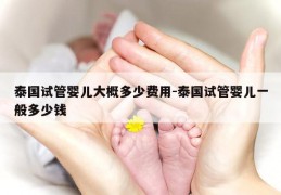 泰国试管婴儿大概多少费用-泰国试管婴儿一般多少钱