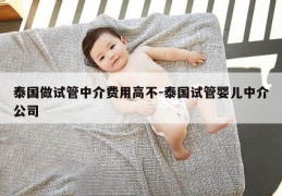 泰国做试管中介费用高不-泰国试管婴儿中介公司