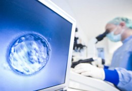 2025上海三代试管婴儿多少钱？