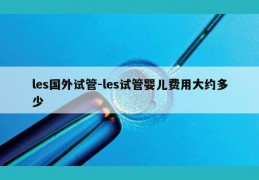 les国外试管-les试管婴儿费用大约多少