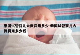 泰国试管婴儿大概费用多少-泰国试管婴儿大概费用多少钱