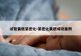 试管囊胚紧密化-紧密化囊胚成功案例