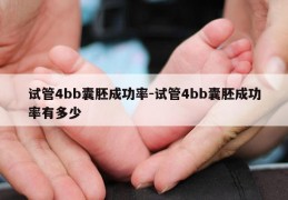 试管4bb囊胚成功率-试管4bb囊胚成功率有多少