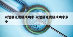 试管婴儿囊胚成功率-试管婴儿囊胚成功率多少