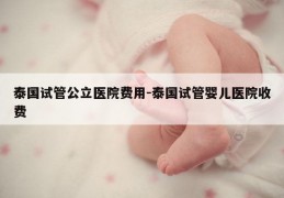 泰国试管公立医院费用-泰国试管婴儿医院收费
