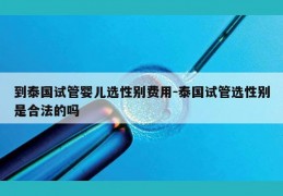 到泰国试管婴儿选XB费用-泰国试管选XB是合法的吗