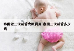 泰国做三代试管大概费用-泰国三代试管多少钱