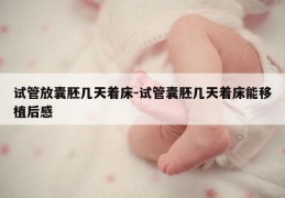 试管放囊胚几天着床-试管囊胚几天着床能移植后感