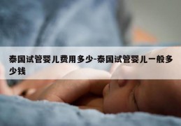 泰国试管婴儿费用多少-泰国试管婴儿一般多少钱