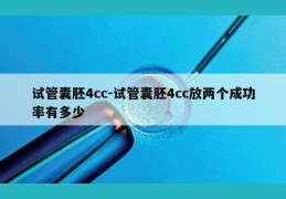 试管囊胚4cc-试管囊胚4cc放两个成功率有多少