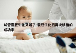 试管囊胚生化又活了-囊胚生化后再次移植的成功率