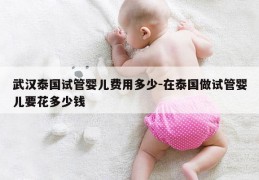 武汉泰国试管婴儿费用多少-在泰国做试管婴儿要花多少钱