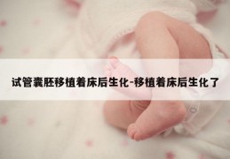 试管囊胚移植着床后生化-移植着床后生化了