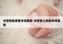 试管胚胎质量养成囊胚-试管婴儿胚胎养成囊胚
