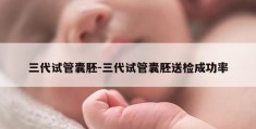 三代试管囊胚-三代试管囊胚送检成功率