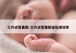 三代试管囊胚-三代试管囊胚送检成功率