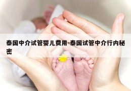 泰国中介试管婴儿费用-泰国试管中介行内秘密