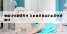 泰国试管翻译费用-怎么联系泰国的试管医疗翻译